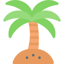 palmera