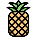 piña icon