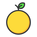 pomelo icon