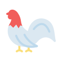 gallo