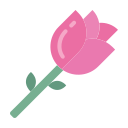 rosa icon