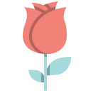 rosa icon