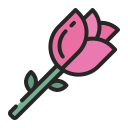 rosa icon