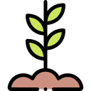 planta icon