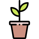 planta icon