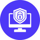 la seguridad cibernética icon