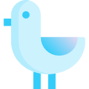 gaviota icon