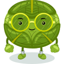 repollo icon