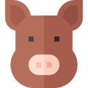 cochon sauvage 