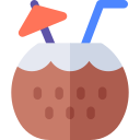 agua de coco icon