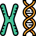 cromossoma 
