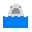 Head