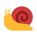 caracol 