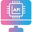 api 