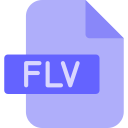 flv icon