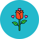 rosa icon