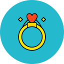 anillo icon