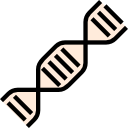 Dna 