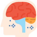 cerebro icon