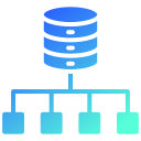 base de datos 