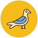 gaviota icon