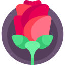 rosa icon