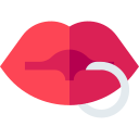 labios icon