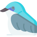 golondrina icon