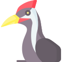 pájaro carpintero icon