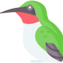 colibrí icon