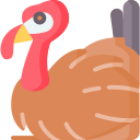 pavo icon