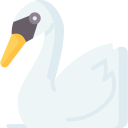 cisne icon