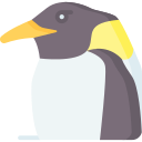 pingüino icon