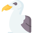 gaviota icon