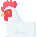 gallina icon