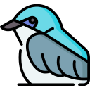 golondrina icon