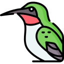 colibrí icon