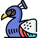 pavo real icon