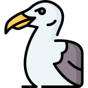 gaviota icon