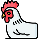 gallina icon