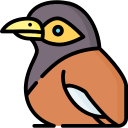 myna icon