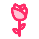 rosa icon