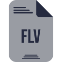 flv icon