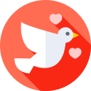 pájaro del amor icon