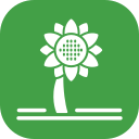 girasol icon