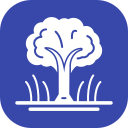 Árbol icon