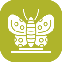 mariposa icon