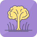 Árbol icon