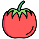 tomate icon