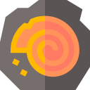 nautilo icon